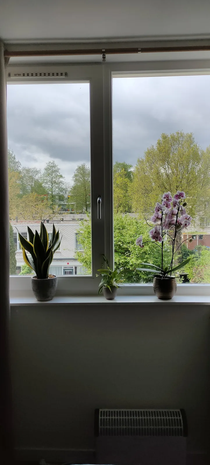 Amor Guesthouse – bed & breakfast a Amsterdam (foto 6)