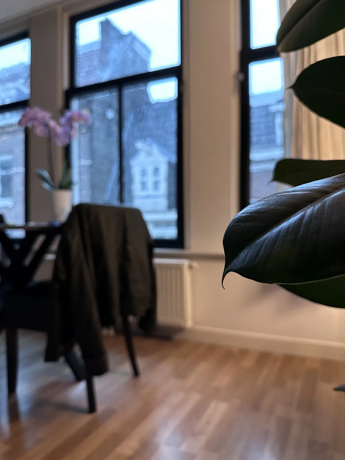 Artist House Amsterdam – bed & breakfast in Amsterdam-Centrum (foto 2)