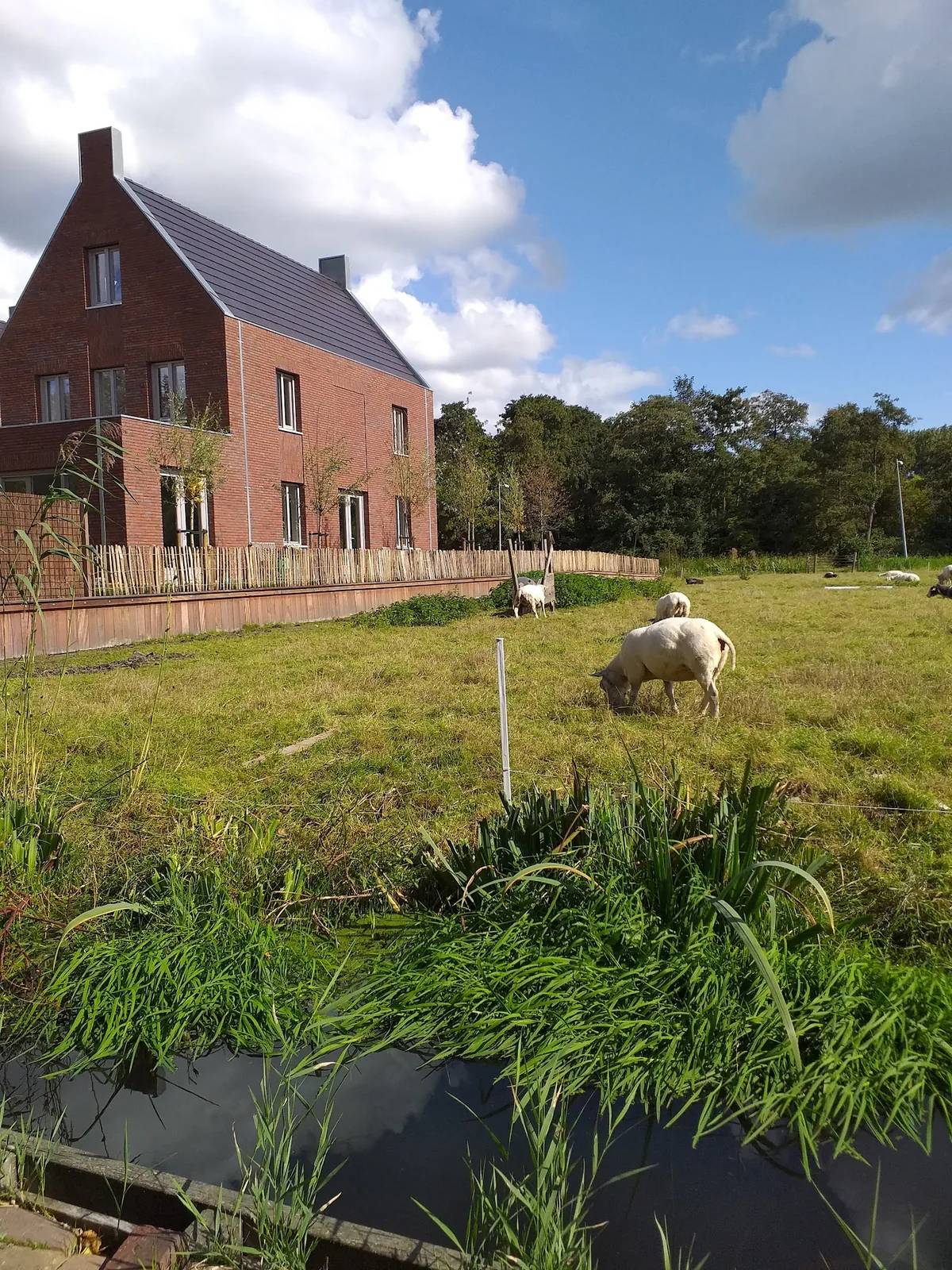 B & B Bloom – bed & breakfast in Amsterdam-Noord