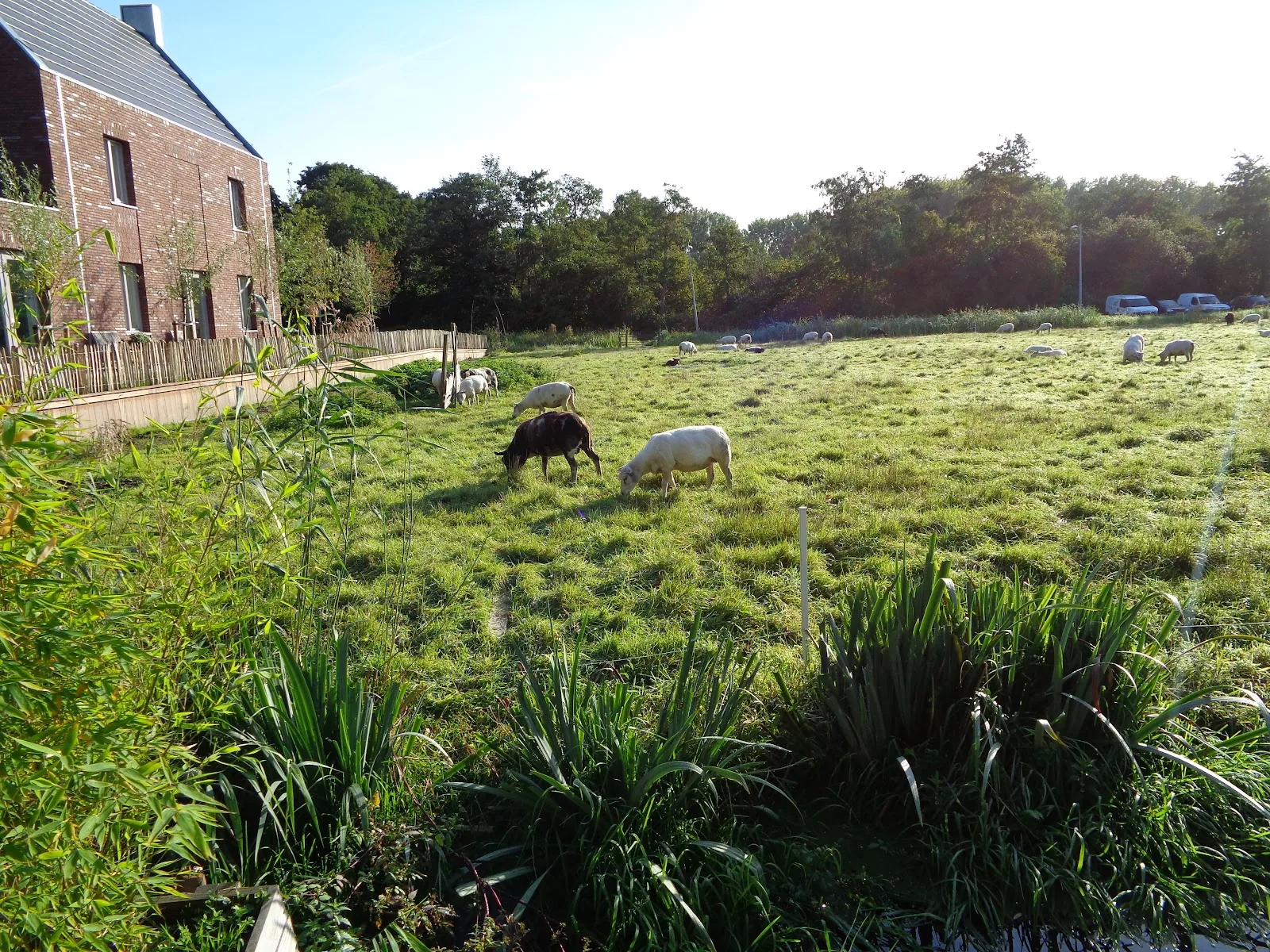 B & B Bloom – bed & breakfast in Amsterdam-Noord (foto 4)