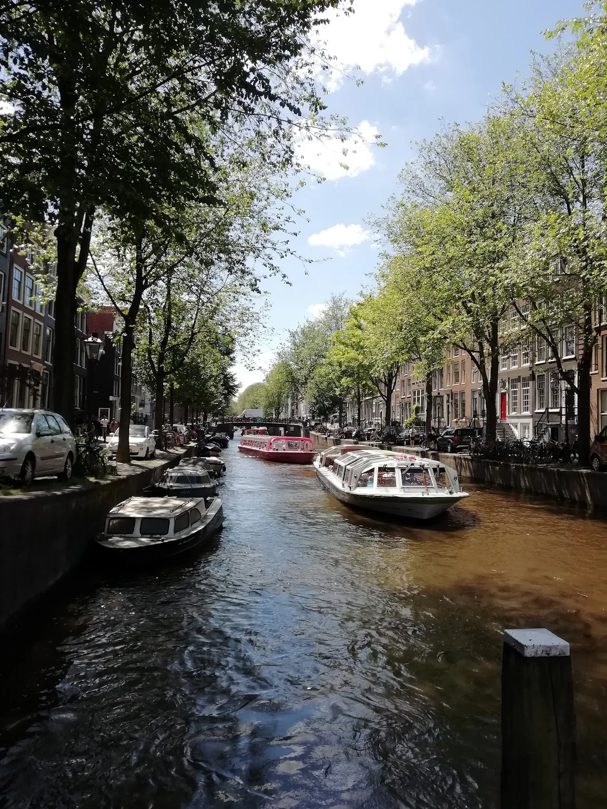 B&B Blossom – bed & breakfast in Amsterdam-Centrum (foto 5)