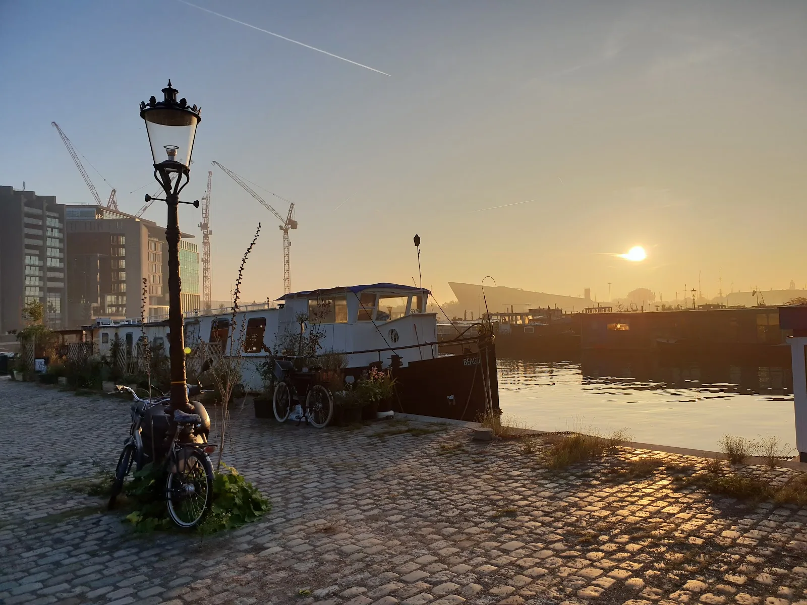 Beagle Houseboat – bed & breakfast in Amsterdam-Centrum (foto 2)