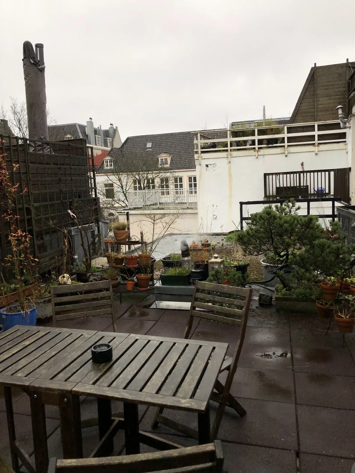 Bees B & B – bed & breakfast in Amsterdam Jordaan (foto 2)