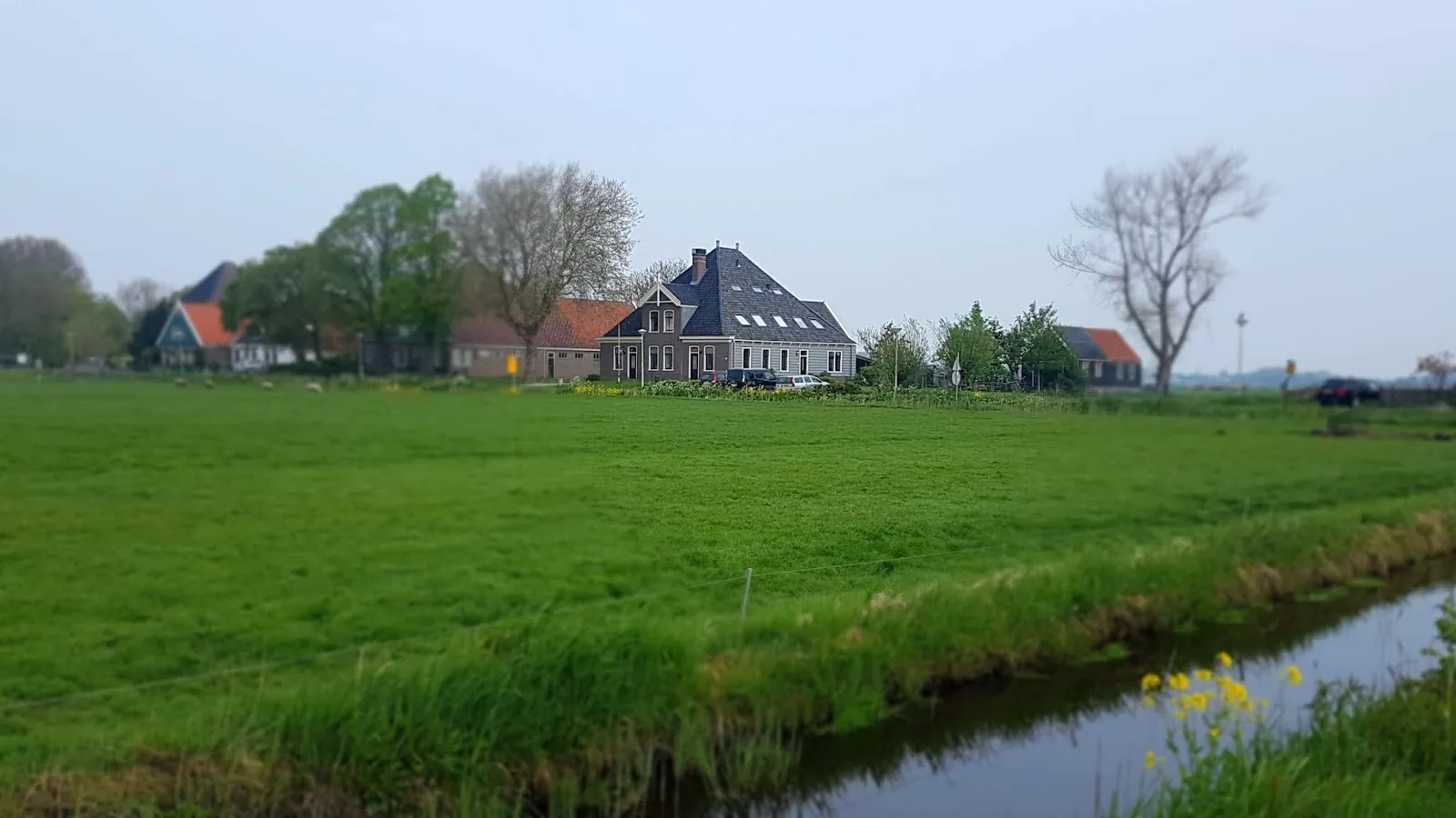 Biest Stro Bed and Breakfast – bed & breakfast in Amsterdam-Noord (foto 2)