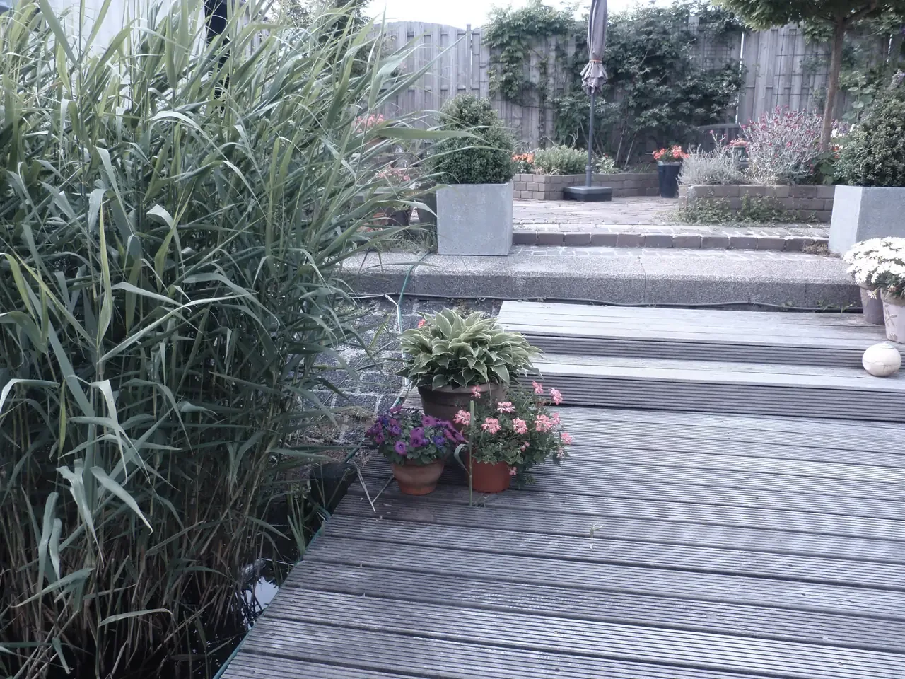 Dromen op het Water – bed & breakfast in Amsterdam-Noord (foto 6)