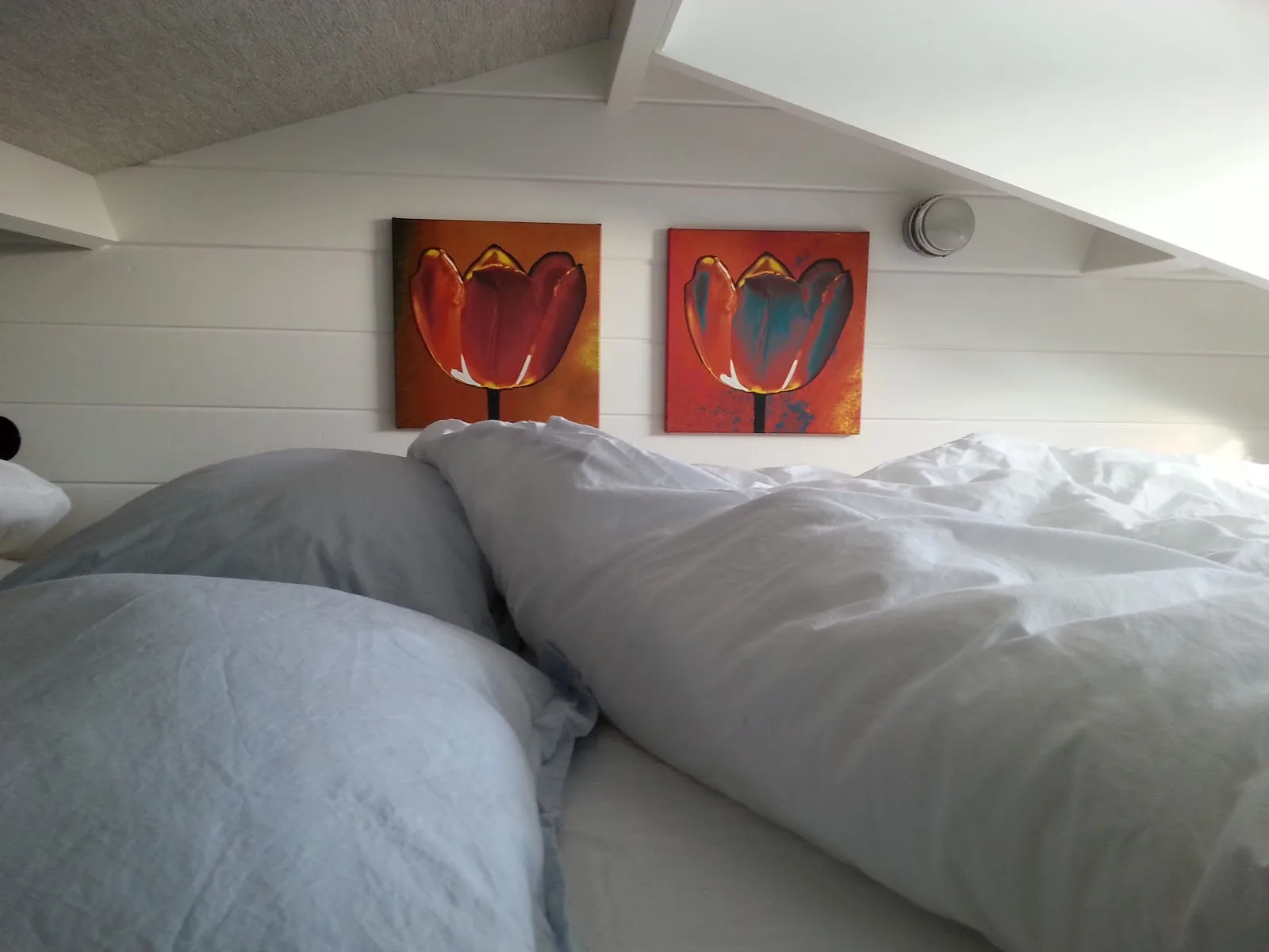 Het boothuis Amsterdam - B&B met terras aan het water – bed & breakfast in Amsterdam-Noord (foto 1)
