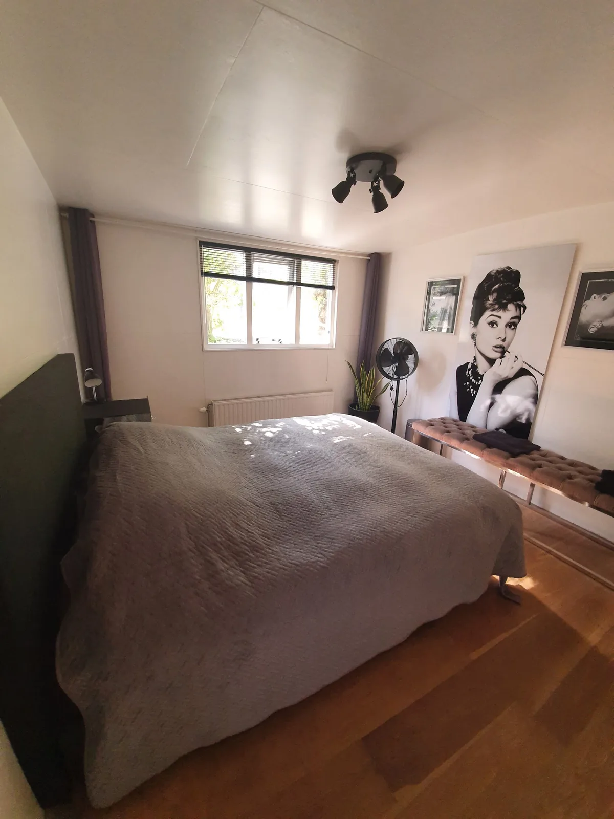Houseboat Amsterdam – bed & breakfast in Amsterdam-Centrum (foto 1)
