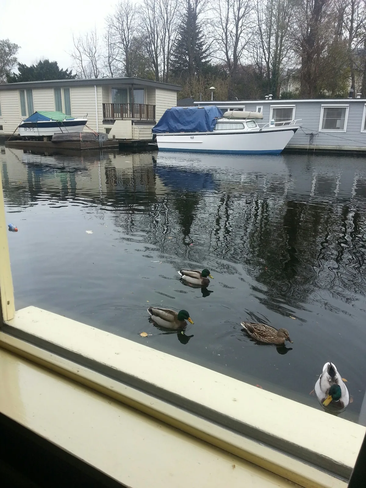 Houseboat Under The Mill – bed & breakfast in Amsterdam Oud-West (foto 5)