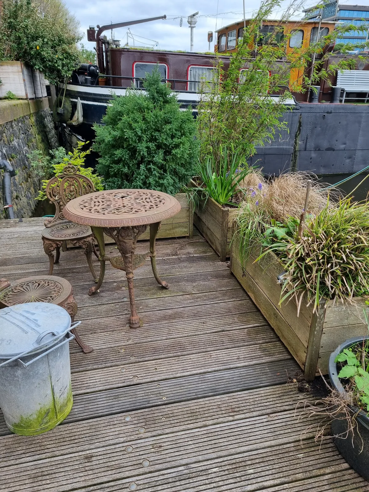 Meneer Filz, B&B Ms Luctor – bed & breakfast in Amsterdam Oud-West