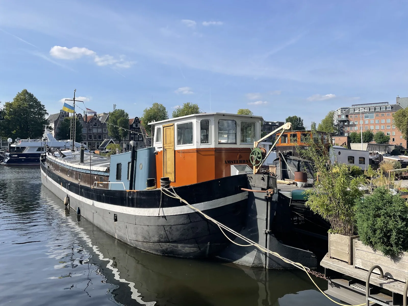 Meneer Filz, B&B Ms Luctor – bed & breakfast in Amsterdam Oud-West (foto 2)