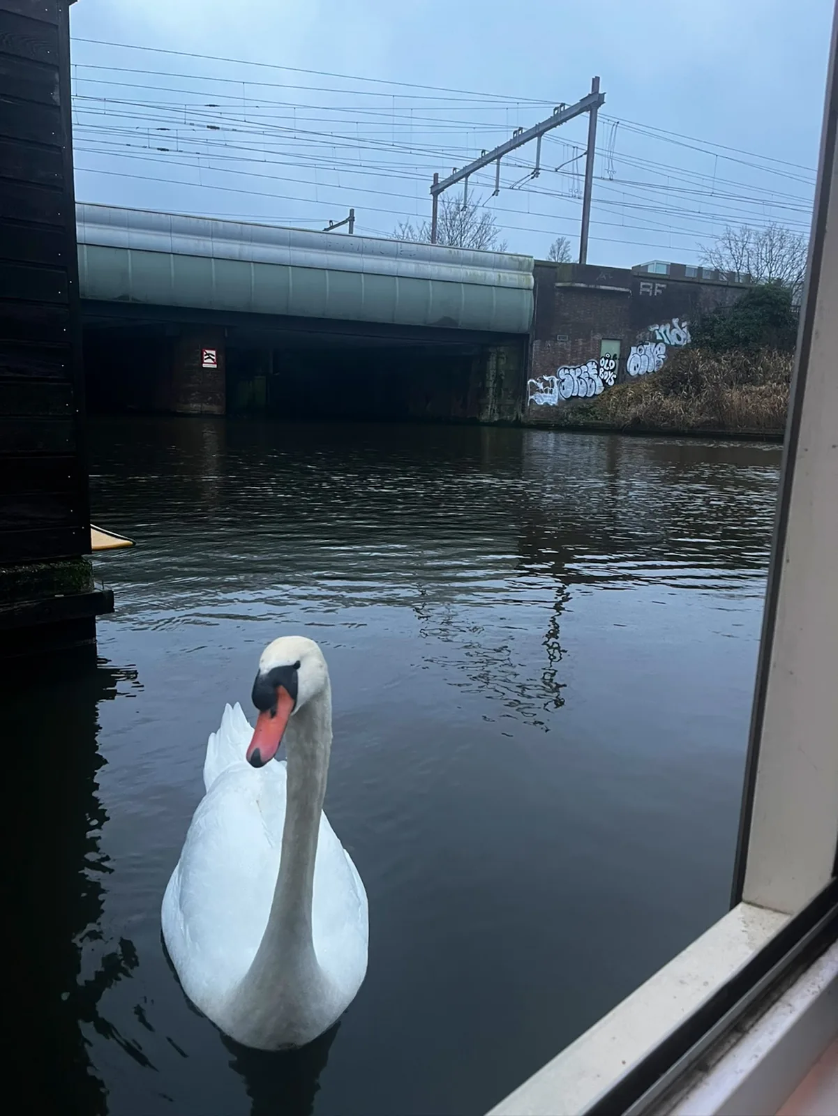 Rob's Houseboat – bed & breakfast in Amsterdam-Centrum (foto 3)