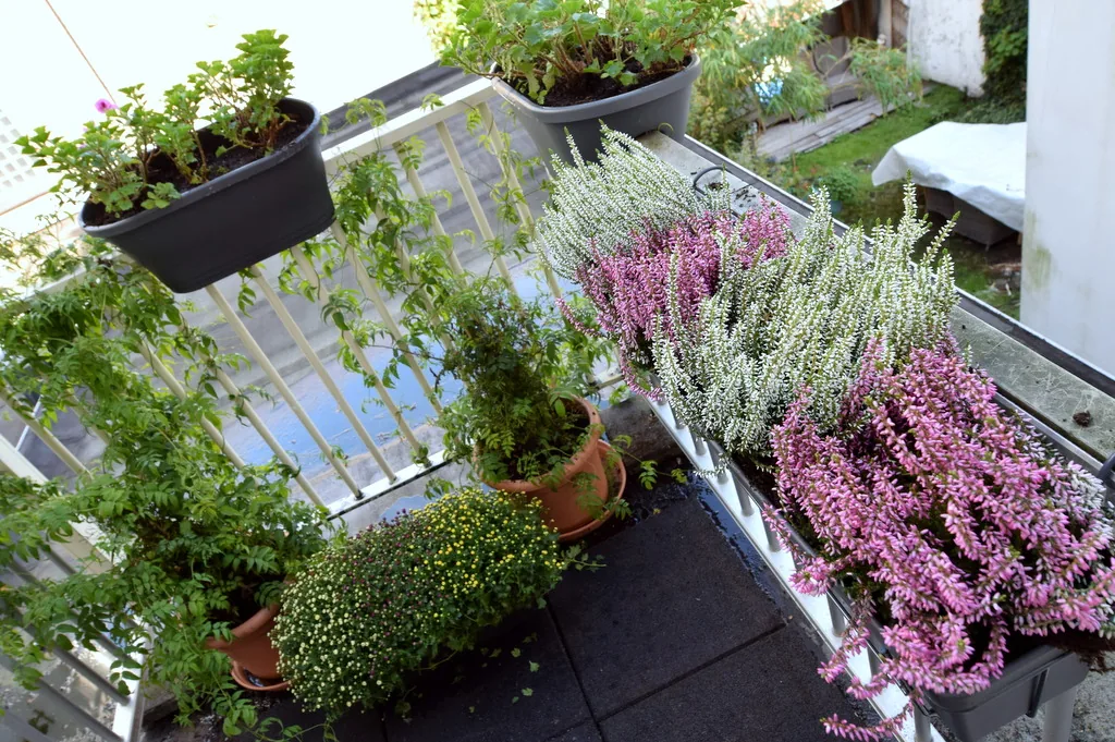 Sleep At Amys – bed & breakfast in Amsterdam Jordaan (foto 6)