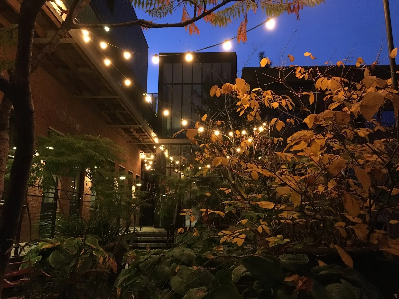 Stout&Co. – bed & breakfast in Amsterdam-Centrum (foto 5)
