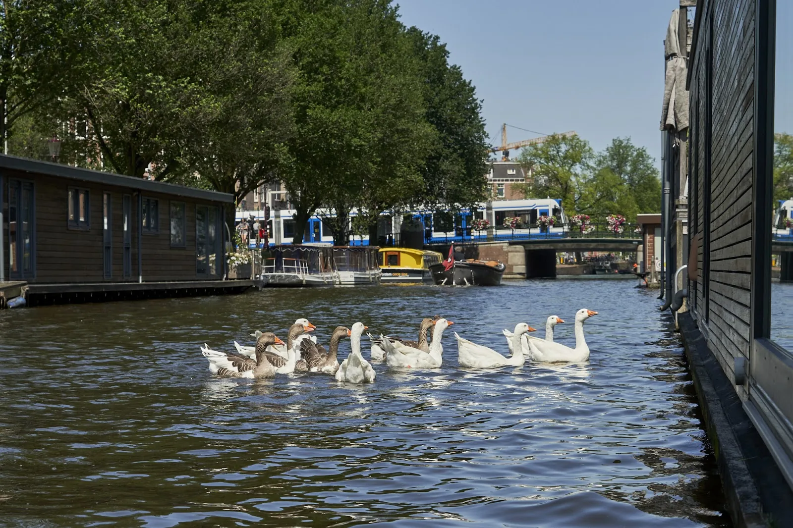 The Amsterdam Houseboat Family – bed & breakfast in Amsterdam De Pijp (foto 6)