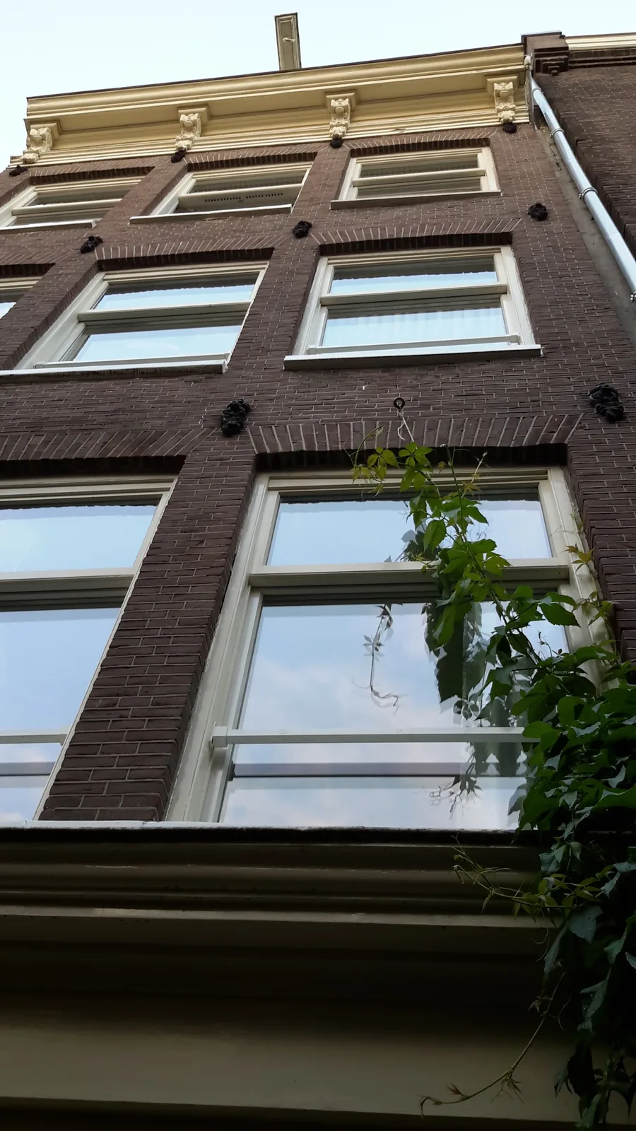 WestViolet – bed & breakfast in Amsterdam Jordaan (foto 6)