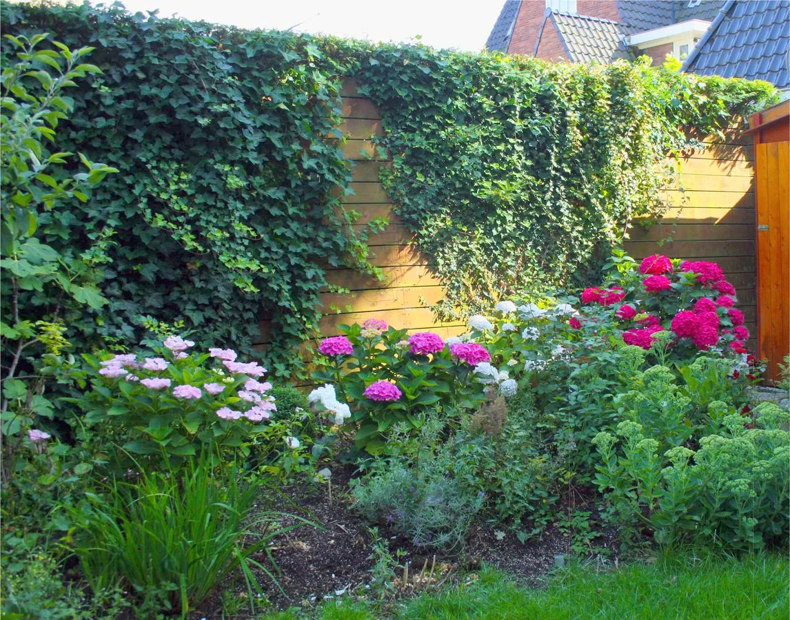 Xaviera's Bed and Breakfast – bed & breakfast in Amsterdam Oud-Zuid (foto 4)