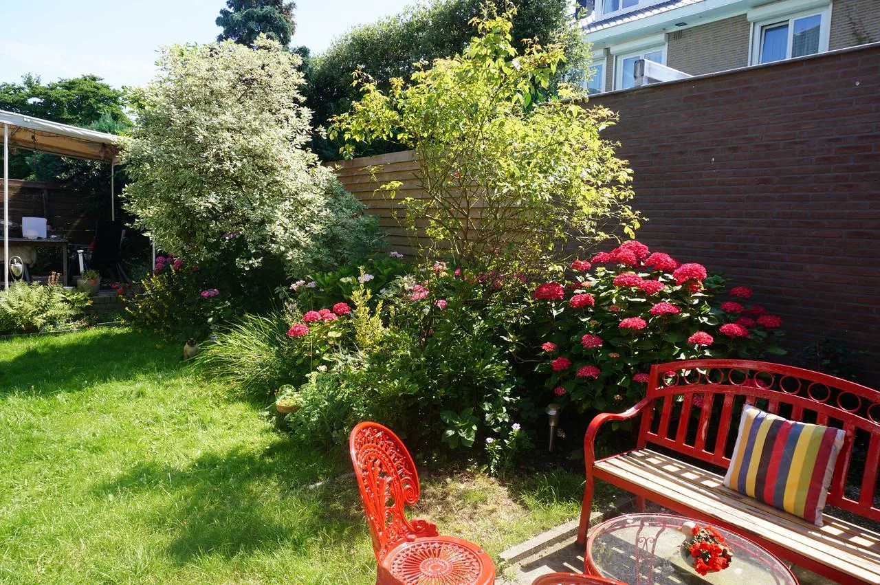 Xaviera's Bed and Breakfast – bed & breakfast in Amsterdam Oud-Zuid (foto 5)