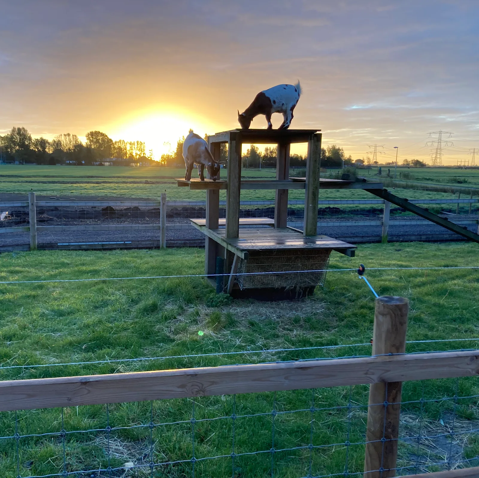 Zunderdorp B&B – bed & breakfast in Amsterdam-Noord (foto 3)