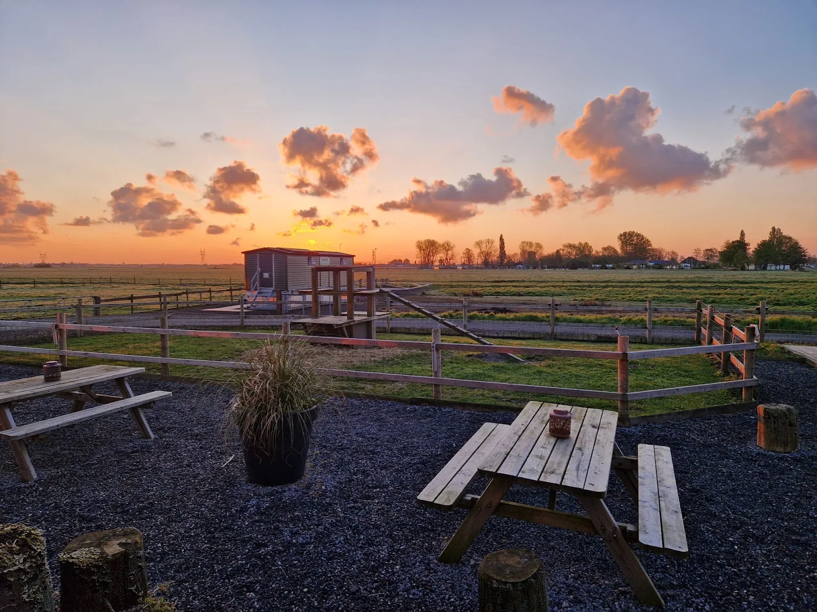 Zunderdorp B&B – bed & breakfast in Amsterdam-Noord (foto 5)